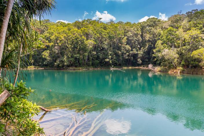 A green coloured lake surrounded by trees at Lake Eacham, Crater Lakes National Park